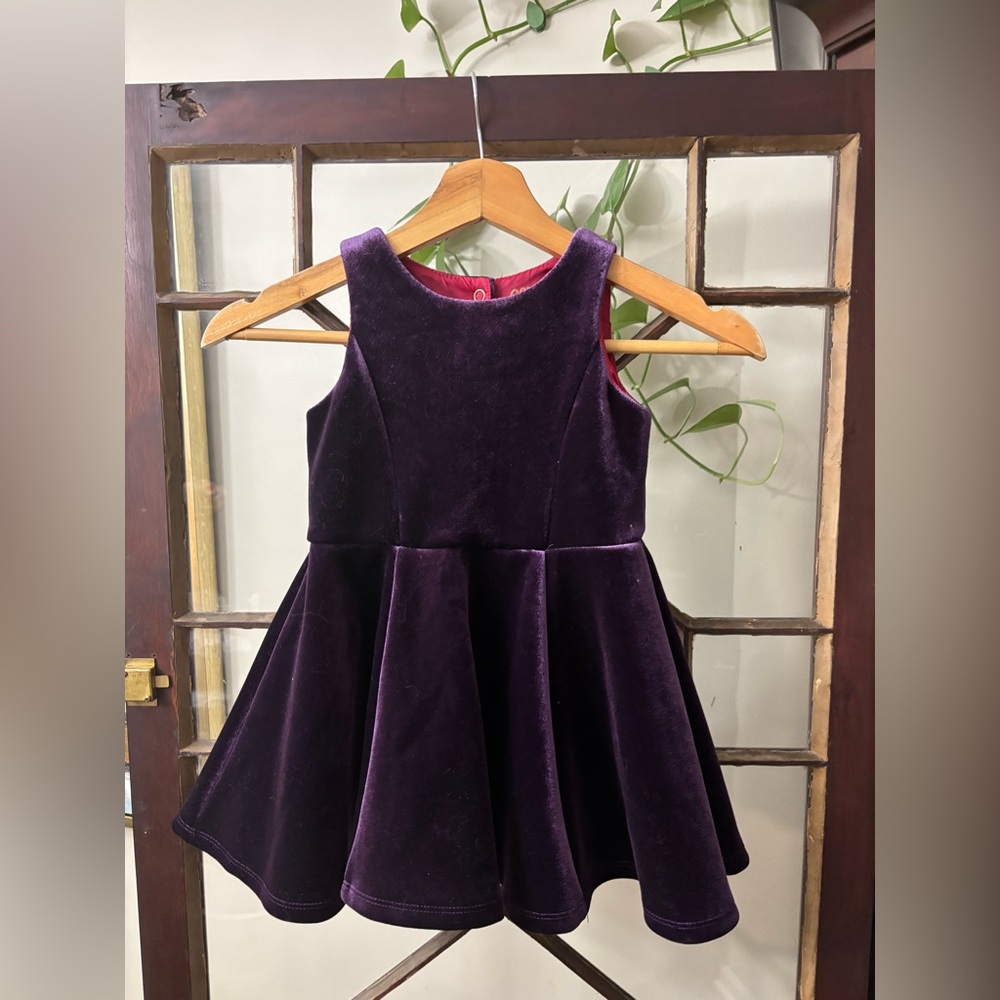 OshKosh B'gosh Rich Purple Velvet Dress